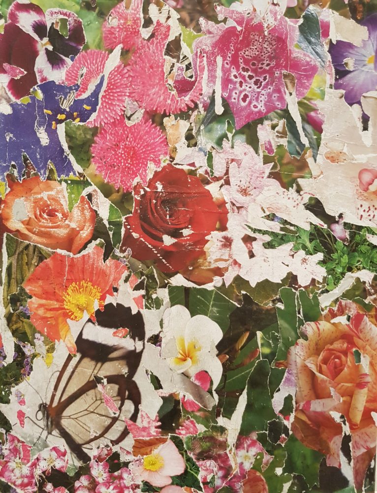 Fleurs et papillons