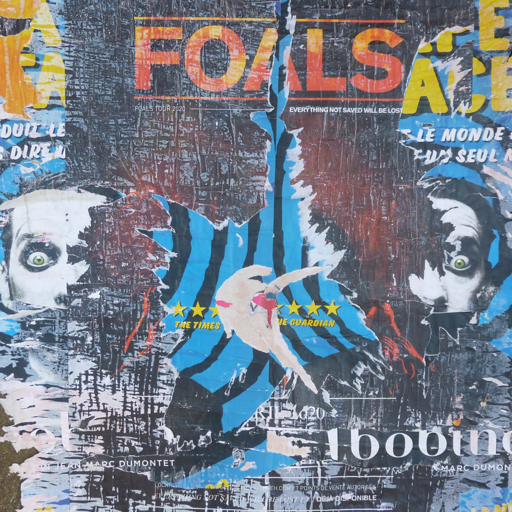 Foals